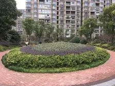 捡漏 !次新房 精装南北通三房两厅 经纬城市绿洲 欢迎随时看