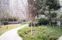 上东一号三期实景图