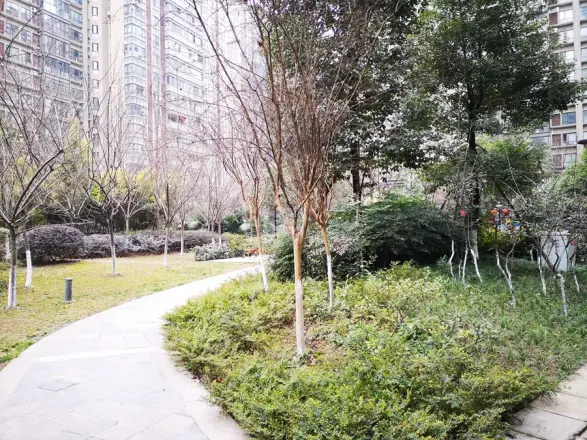 上东一号三期实景图