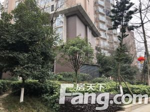 沙河湾 3室1厅 南 北