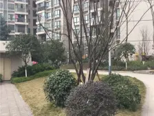 次新楼盘保持好,可拎包入住,业主安心卖,提前联系