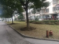 一梯四户,大两房,靠近花园,居家装修