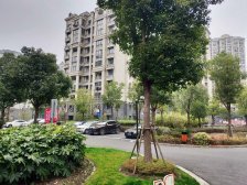 汤臣开发+望园路三轨交+S4+龙湖商+上海之鱼+金海公路