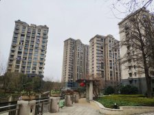 汤臣开发+望园路三轨交+S4+龙湖商+上海之鱼+金海公路