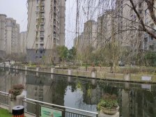 汤臣臻园 3室2厅 南