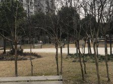 一房全朝南的户型 装修可以直接住 看房方便