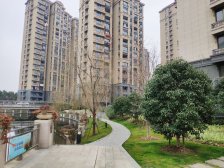 汤臣臻园 3室2厅 南