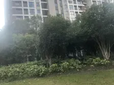 远香舫嘉苑3室2厅2卫南朝向348.00万元/套出售