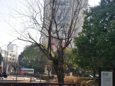 地铁口,大三房,湖景房,南北直通双阳台,景观楼层