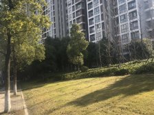 远香舫嘉苑 3室2厅 南