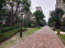 金辉天鹅湾 3室2厅 南 北