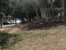 出门就是菜市场,电梯房 ,采光佳,好出租