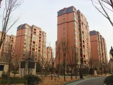 郑报二期 一梯两户 精装修两房 户型好 楼层好