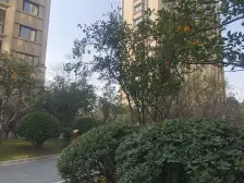 中凯城市之光(新江湾) 6室2厅 南 北