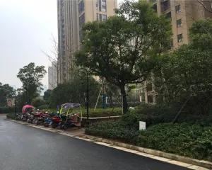 168南 位置安静 采光好诚心出售满五唯一 精装修