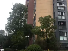 路劲上海派君悦华庭 2室1厅 南 北