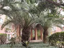 三峡广场 地铁上 正规大两房 出行方便 配套齐全