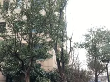 十尚风格,欧美韵味,满五V一,价格好谈,看房基本方便