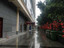 满五不唯一,毛坯房,户型方正,业主诚心出售