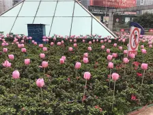 石桥铺近地铁 交通出行方便 配套成熟