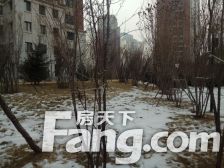 哈西宜家旁经典小户型视野采光好