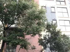 简约不简单,温馨舒适,是你理想的避风港,生活的家