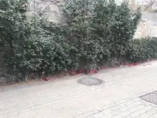 近青泥洼桥 东关街 电梯房 生活交通便利