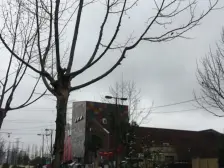 路劲上海派3室东朝向219.00万元/套出售