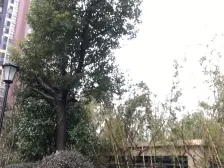 地铁900米 精装大两房 南北通透 总价低