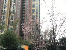 低价地铁口80平两房,高品质小区,次新小区