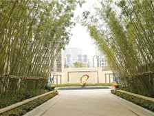 电梯洋房 带80平地下室,精装修 拎包入住,正商金域世家