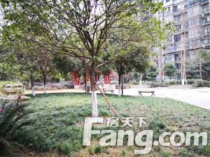 中铁丽景书香 3室2厅 北 南