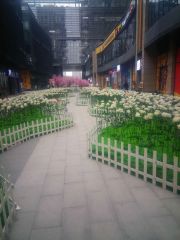 蓝润ISC 3室1厅 东