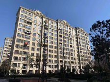 农房松江府 3室1厅 南 北