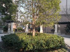 地*铁口+双澧溪+精装2房+景观楼层+满五年