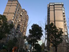 周浦·繁荣华庭·2室·2厅