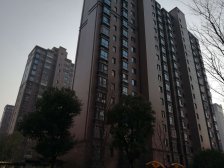 楼*王位置,南北通2房,飞机户型,景观楼层,满五惟一