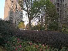 繁荣华庭,南北通大2房,两梯两户,景观楼层,满五惟一