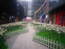 蓝润ISC 3室2厅 西