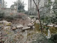 东区改善社区,小区8栋小高层,7栋洋房,低密度小区