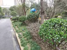 南北通两房 满五仅需契税 近白银路轻轨站 公园旁采光无遮挡