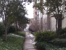 郑东新区房本中力七里湾小区环境好