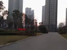 高楼层视野采光好 自住精装修 看房方便