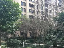 金科廊桥水乡D区 4室1厅 东