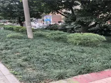 奥体轻轨站旁边精装一房,拎包入住