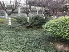 上城奥悦 2室2厅 东