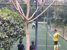 金科廊桥水乡D区 4室2厅 东南 西北