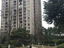 金科廊桥水乡D区 4室2厅 南