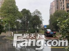 店长推荐必看好房!电梯商品房!本月必卖霸榜热搜!近1号线