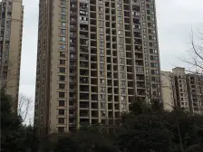 金科大平层 一层只有一户 中间楼层